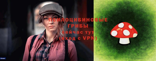 ПСИЛОЦИБИНОВЫЕ ГРИБЫ Усмань