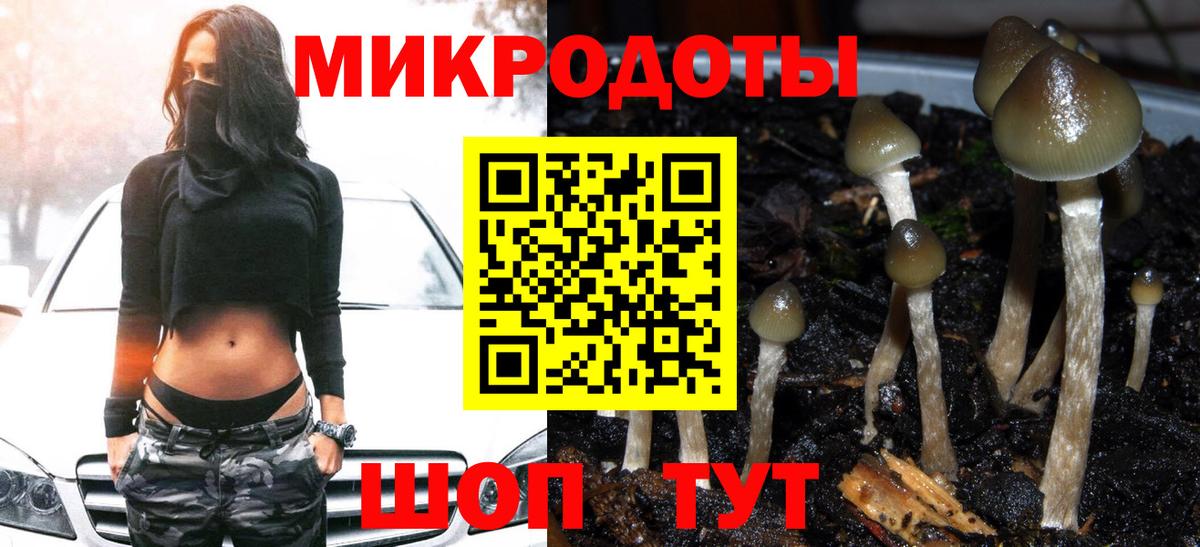 Псилоцибиновые грибы Cubensis  Фурманов 