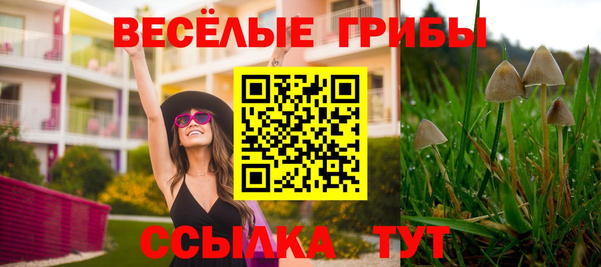 Галлюциногенные грибы Magic Shrooms  Псилоцибиновые грибы прущие грибы  Вход с VPN  Фурманов 