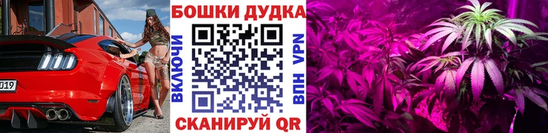где продают наркотики  Фурманов  Бошки Шишки SATIVA & INDICA 